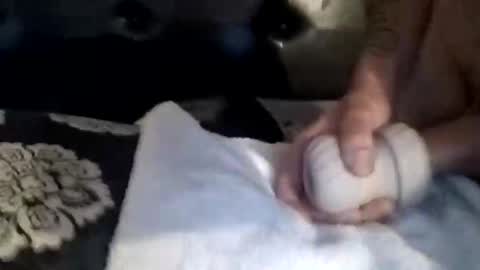 Snapshot of luvbiga554evr chatting on 11.05.25 luvbiga554evr online show from 11.05.25