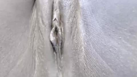 Snapshot of lyiajee chatting on 10.14.25 lyiajee online show from 10.14.25