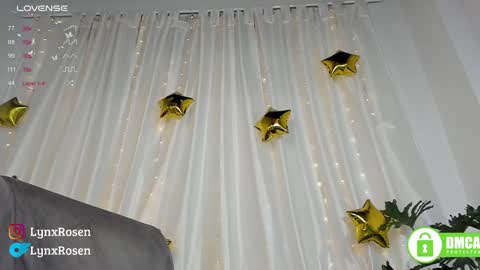 Snapshot of lynxrosen chatting on 01.18.25 Lynx Rosen online show from 01.18.25