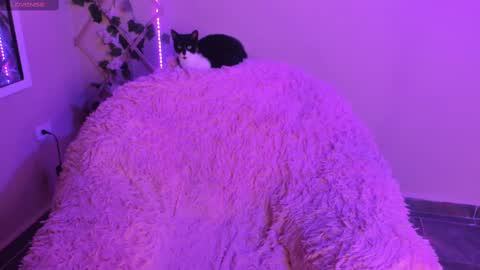 Madeline  online show from 09.29.25