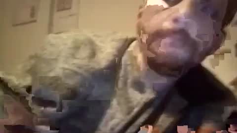 Snapshot of maniaksfucker chatting on 01.18.25 LANGERFICK online show from 01.18.25