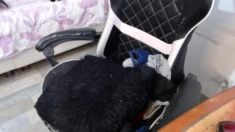 Marilyn  online show from 02.26.25