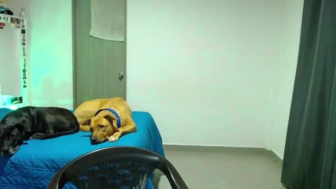 mary online show from 10.31.25