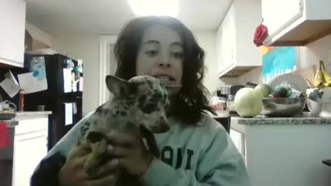 Snapshot of mastressluna chatting on 11.21.25 Mastress Luna online show from 11.21.25