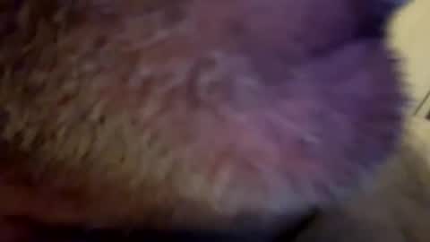 Snapshot of maverick7000 chatting on 02.23.25 maverick7000 online show from 02.23.25