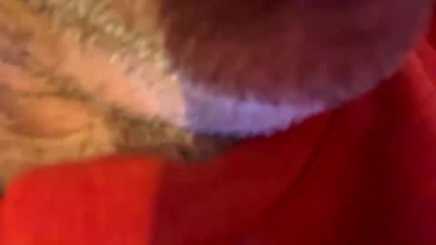 Snapshot of maverick7000 chatting on 10.31.25 maverick7000 online show from 10.31.25