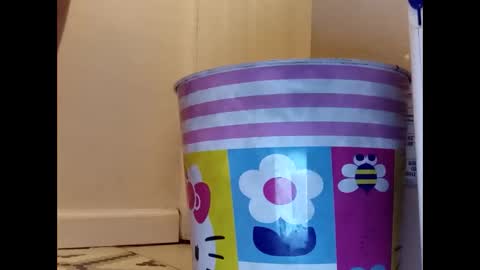 meaderd740870 online show from 01.23.25