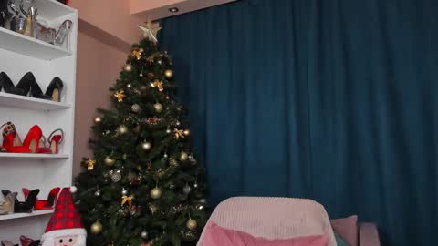 Megan online show from 12.23.24