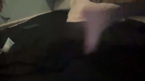 Snapshot of melt13 chatting on 10.13.25 melt13 online show from 10.13.25