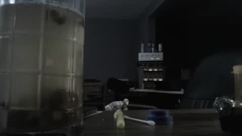 Snapshot of memberjames chatting on 10.21.25 I am usually high and horny...lol online show from 10.21.25