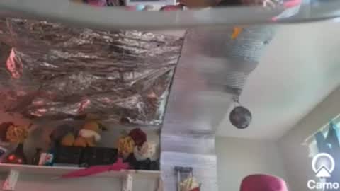 Snapshot of merelyalover chatting on 12.26.24 gurlnips online show from 12.26.24