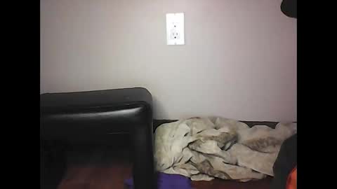 Snapshot of mi45419 chatting on 11.02.25 mi45419 online show from 11.02.25