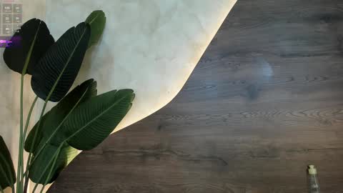 Snapshot of mia_lacy chatting on 01.30.25 mia_lacy online show from 01.30.25