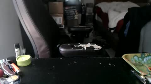 Snapshot of miaking chatting on 10.12.25 Mark online show from 10.12.25