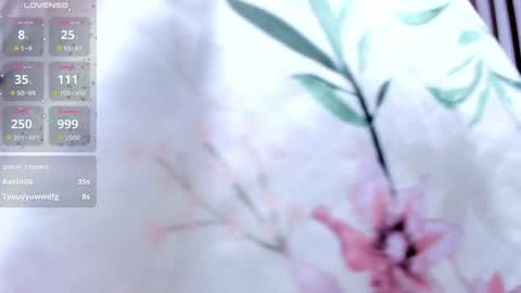 Snapshot of miiaa_evans chatting on 12.27.24 Mia online show from 12.27.24