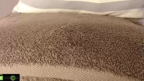 Mikell Williams online show from 03.11.25