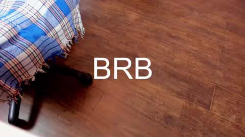 Monika NO c2c ever. PVT free Naked Fingering pussy doggy or standing BJ HJ Feet Fashion. PVT extra Toy control 400tk. online show from 02.06.25