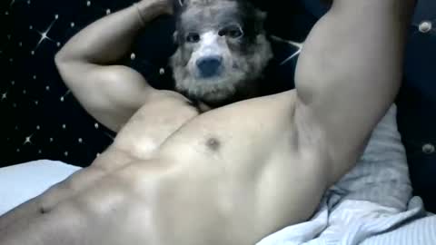 Snapshot of moreno1muscular chatting on 03.04.25 moreno1muscular online show from 03.04.25