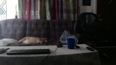 Snapshot of mr_happy12 chatting on 09.23.25 mr_happy12 online show from 09.23.25