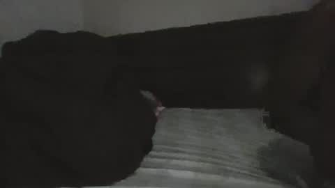 mr hooked online show from 11.18.25