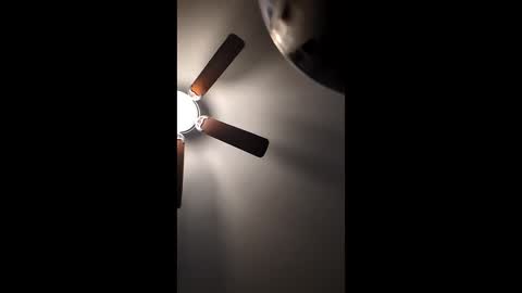 mrorange50187 online show from 12.22.24