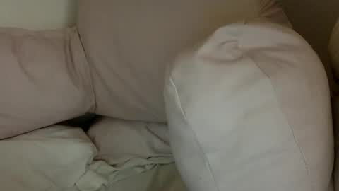 Snapshot of munchi_ chatting on 12.29.24   online show from 12.29.24