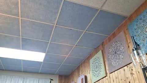 mymyselfandme online show from 11.10.25