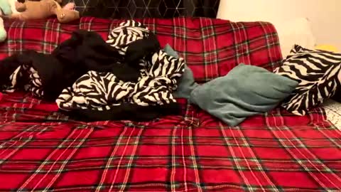 Snapshot of naked_for_fun chatting on 12.15.24 unable nkd life online show from 12.15.24