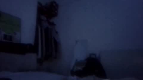 NarcoMarco online show from 11.11.25