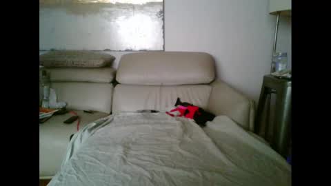 nassobout online show from 10.12.25