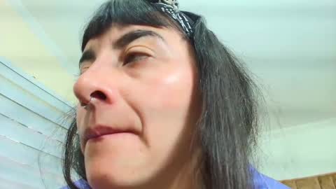 Kitten online show from 09.30.25