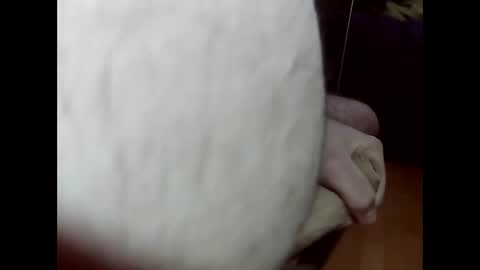 Snapshot of ncbncb chatting on 03.01.25 ncbncb online show from 03.01.25