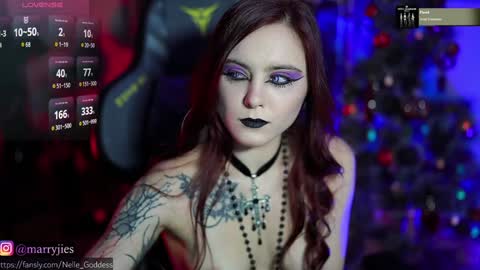 Snapshot of nelle_ chatting on 12.29.24    online show from 12.29.24