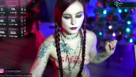 Snapshot of nelle_ chatting on 12.30.24    online show from 12.30.24