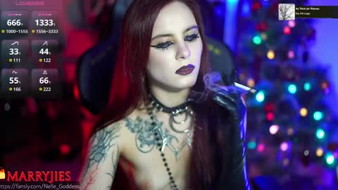 Snapshot of nelle_ chatting on 01.01.25    online show from 01.01.25