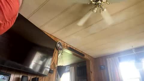 Snapshot of neversaynevrrr chatting on 11.01.25 neversaynevrrr online show from 11.01.25