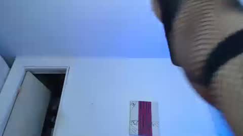 Snapshot of nico_hoot chatting on 12.29.24 sammy hoot online show from 12.29.24