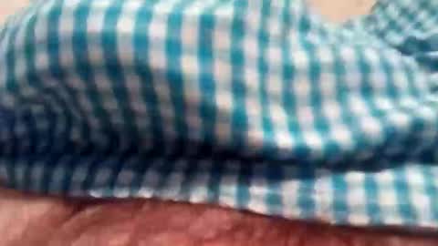 nipbulge online show from 12.05.25