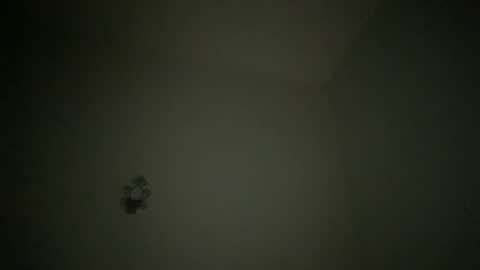 Snapshot of noscandal chatting on 02.19.25 noscandal online show from 02.19.25