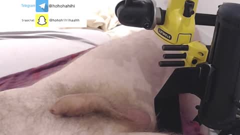 Snapshot of nuche99 chatting on 11.01.25 nuche99 online show from 11.01.25