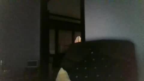 Officer online show from 12.26.24