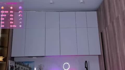 Snapshot of onlycatsss chatting on 12.27.24 Amelia online show from 12.27.24