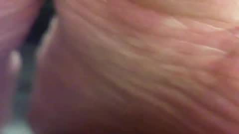 Pablo Meness online show from 02.02.25