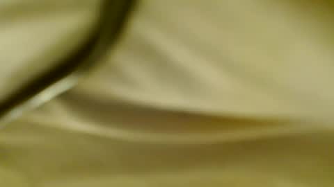 Snapshot of pantyjim19 chatting on 02.20.25 PantyJim19 online show from 02.20.25