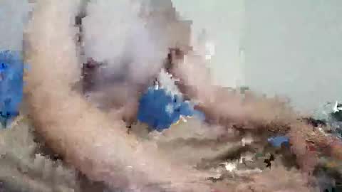 Snapshot of parejitafiel2309 chatting on 11.09.25 parejitafiel2309 online show from 11.09.25