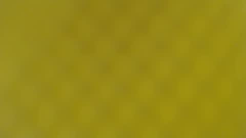 Snapshot of patty_squirt87 chatting on 02.19.25 patty squirt87 online show from 02.19.25