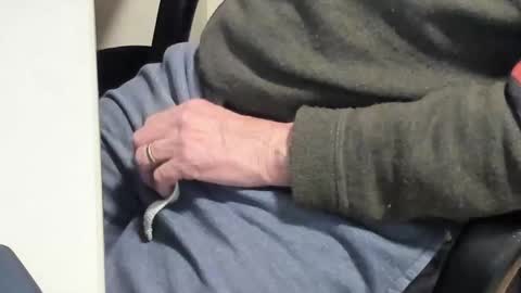 Snapshot of paultje7171 chatting on 02.10.25 Paul online show from 02.10.25