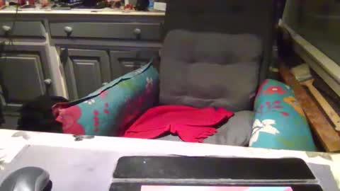 Snapshot of peter_on_kik chatting on 11.01.25 make me cum in pvt dutch german daddy c2c bigcock online show from 11.01.25