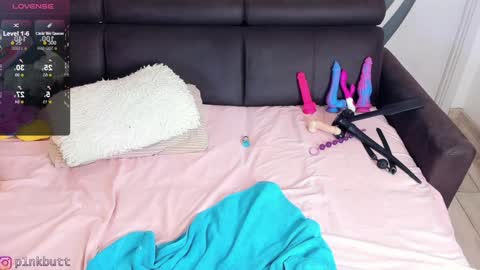 Snapshot of pinkslobber chatting on 01.16.25 Helen Goat online show from 01.16.25