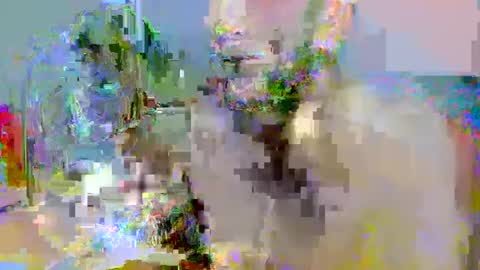 Snapshot of pipe_sexxx chatting on 10.14.25 pipe_sexxx online show from 10.14.25